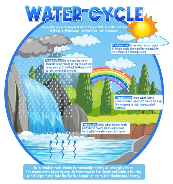 Gratis vector watercyclus voor wetenschappelijk onderwijs