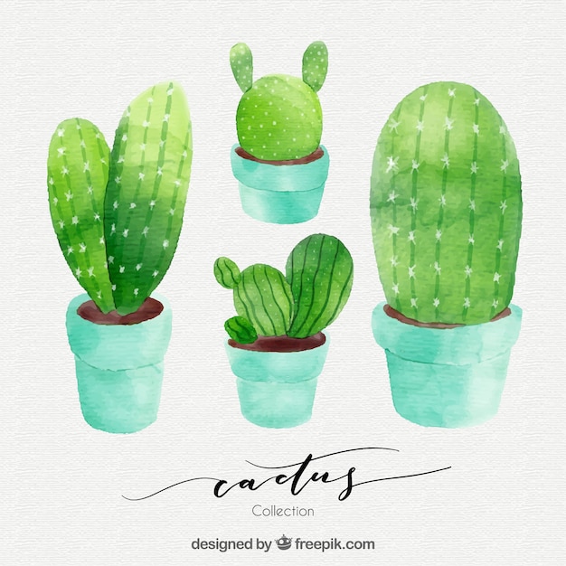 Gratis vector waterverfpakket van cactus