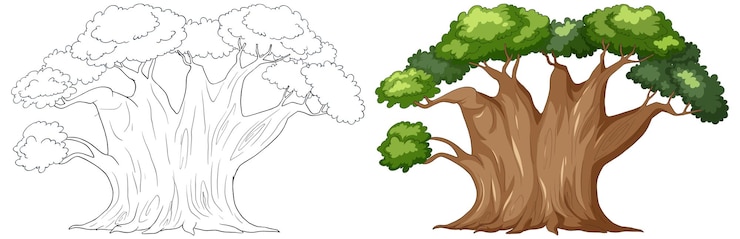 Gratis Vector weelderige boom voor en na illustratie