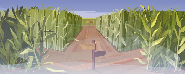 Gratis vector weg op cornfield met vork en houten richtingteken in mist. concept van het kiezen van een manier. vector cartoon landschap met hoge maïs stengels op veld en kruispunt met wijzers op mistig weer