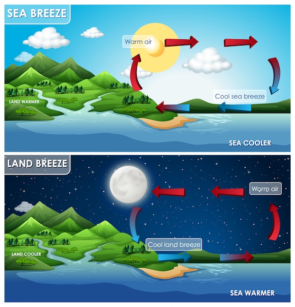 Gratis vector wetenschap infographic voor land- en zeebries