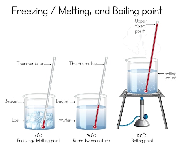 Gratis vector wetenschappelijk experiment met watertemperatuur