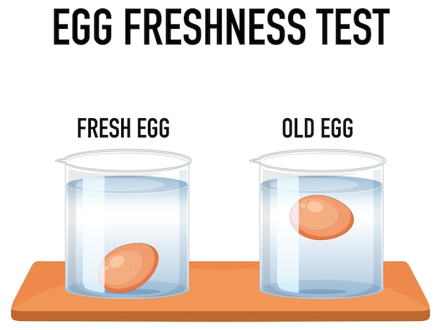 Wetenschapsexperiment met testeieren voor versheid