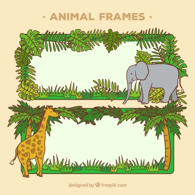 Gratis vector wild dier frames ontwerp