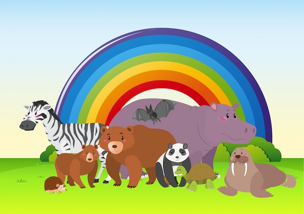 Wilde dieren in het veld met een regenboog op de achtergrond