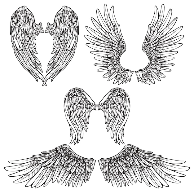 Gratis vector wings sketch set
