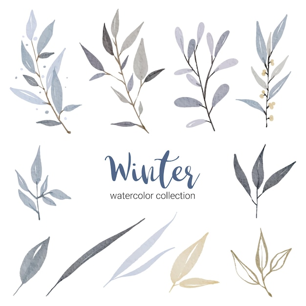 Winter aquarel collectie met verschillende soorten bladeren