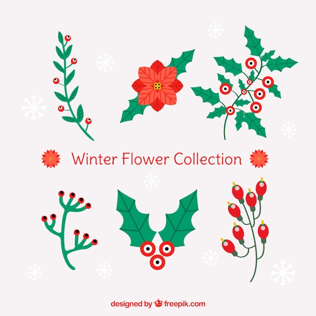 Gratis vector winter bloemencollectie in rood en groen