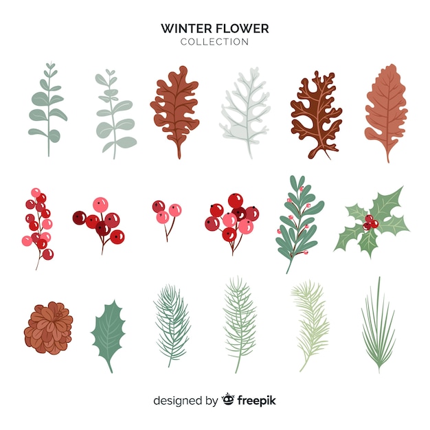 Gratis vector winter bloemencollectie