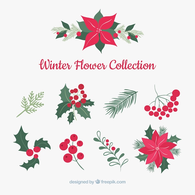 Gratis vector winter bloemencollectie