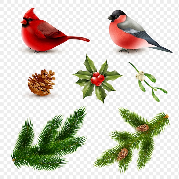 Gratis vector wintervogels spar takken set