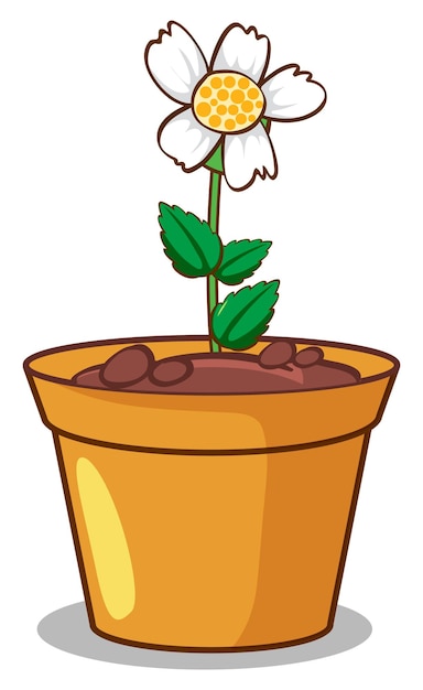 Gratis vector witte bloem op witte achtergrond