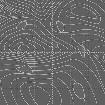 Witte en grijze abstracte contourlijnkaart