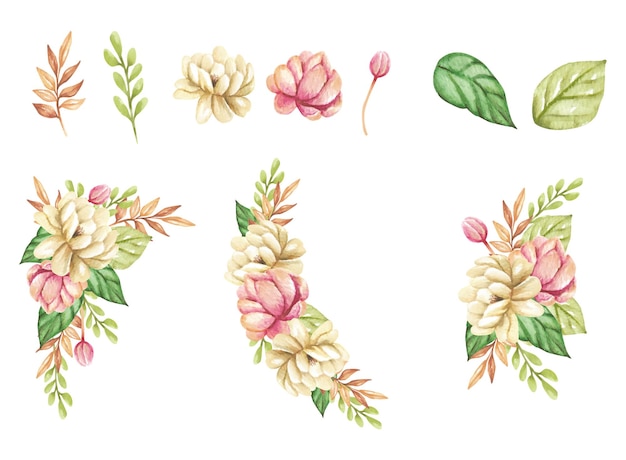 Gratis vector witte en rode jasmijn aquarel bloem set met ornament collectie