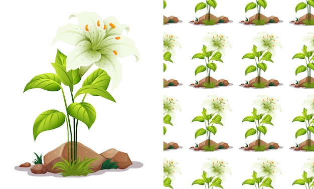 Gratis vector witte lelie bloem