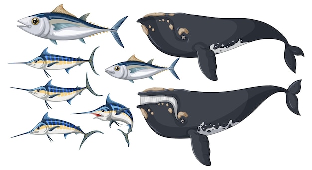 Gratis vector witte tonijn en groenlandse walvis en atlantische blauwe marlijn
