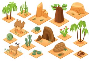 Gratis vector woestijn elementen isometrische set met baobab palmen cactussen vetplanten flora slang kameel zandsteen zand geïsoleerde vectorillustratie