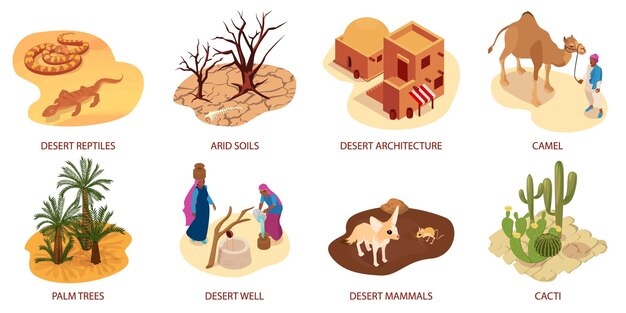 Woestijn isometrische composities met reptielen kameelcactus palmbomen dorre bodem architectuur geïsoleerde vectorillustratie