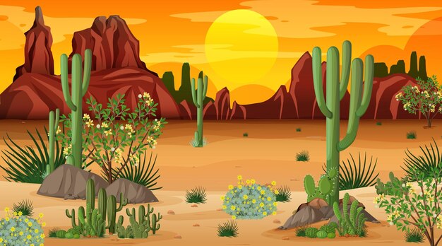 Woestijnboslandschap bij zonsondergangtijdscène met vele cactussen