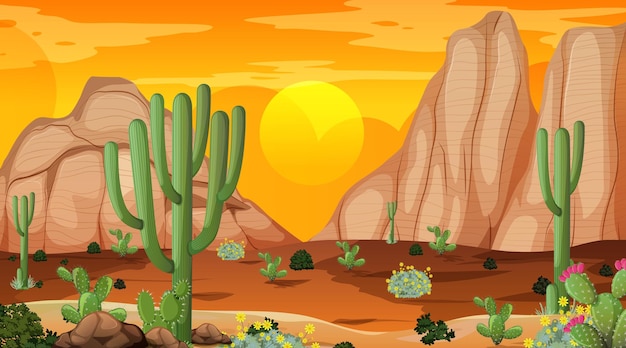 Woestijnboslandschap bij zonsondergangtijdscène met vele cactussen