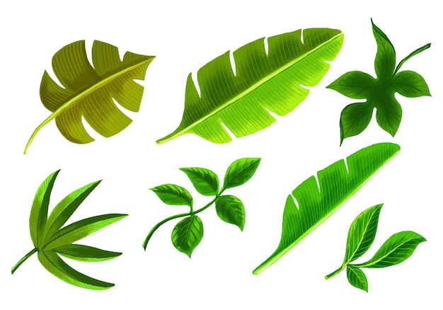 Gratis vector x9realistische tropische planten groen blad decorontwerp