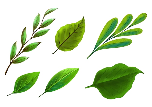 Gratis vector x9realistische tropische planten groen blad decorontwerp