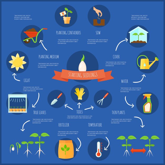 Gratis vector zaailing infographic set met water en temperatuur symbolen platte vectorillustratie