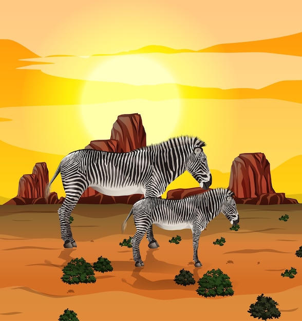 Zebra in aardillustratie