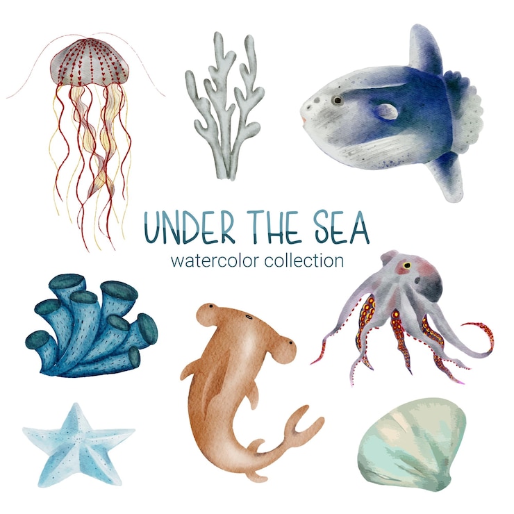Gratis Vector zeeleven schattig element dierlijk leven in de onderzeewereld onderwater dierlijk schepsel en vis octopus kwallen zeester haai hamerhaai schelpdier koraal vector cartoon aquarel illuratie