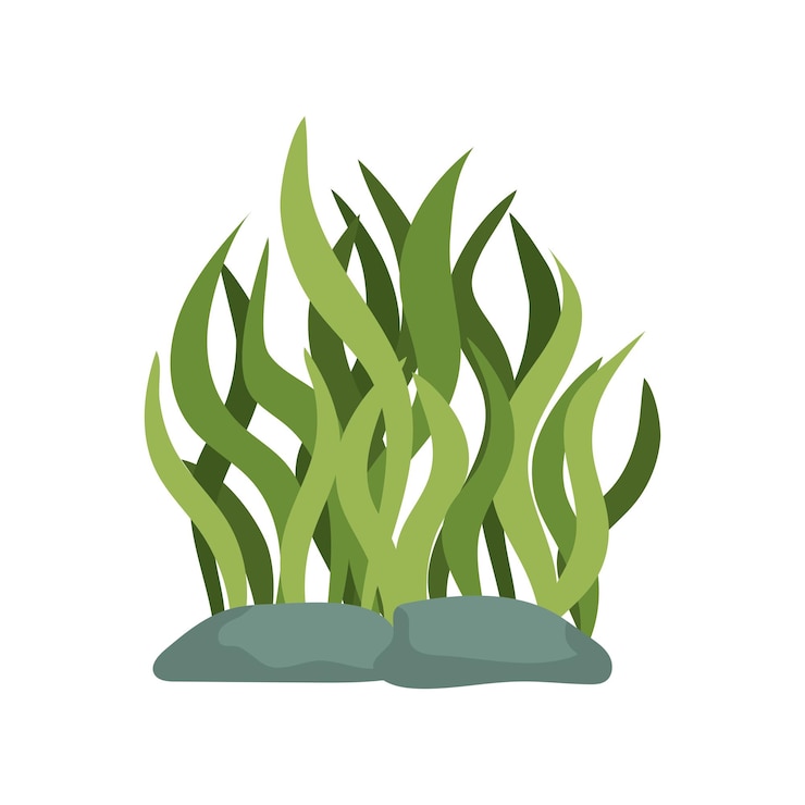 Gratis Vector zeeleven zeewier illustratie