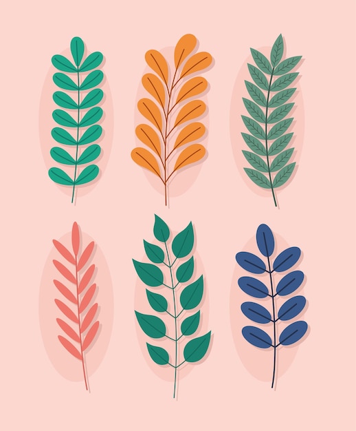 Gratis vector zes planten takken