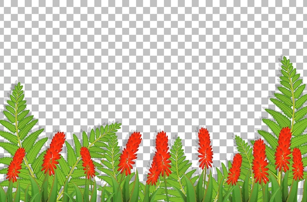 Gratis vector zilveren hanenkam bloemenveld op transparante achtergrond