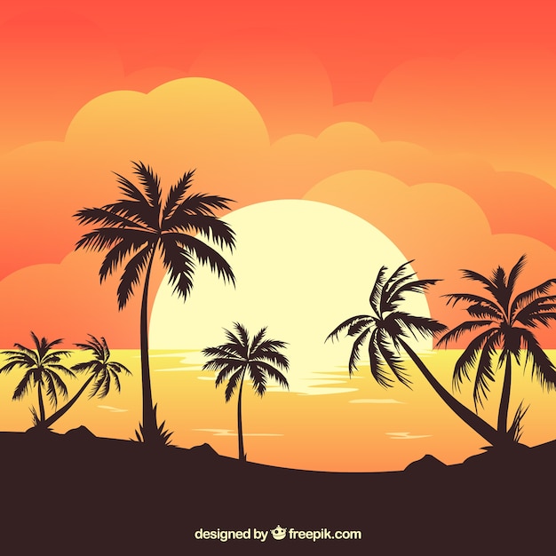 Zomer achtergrond met zonsondergang en palmbomen