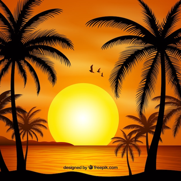 Gratis vector zomer achtergrondgeluid met zonsondergang en palm bomen silhouet