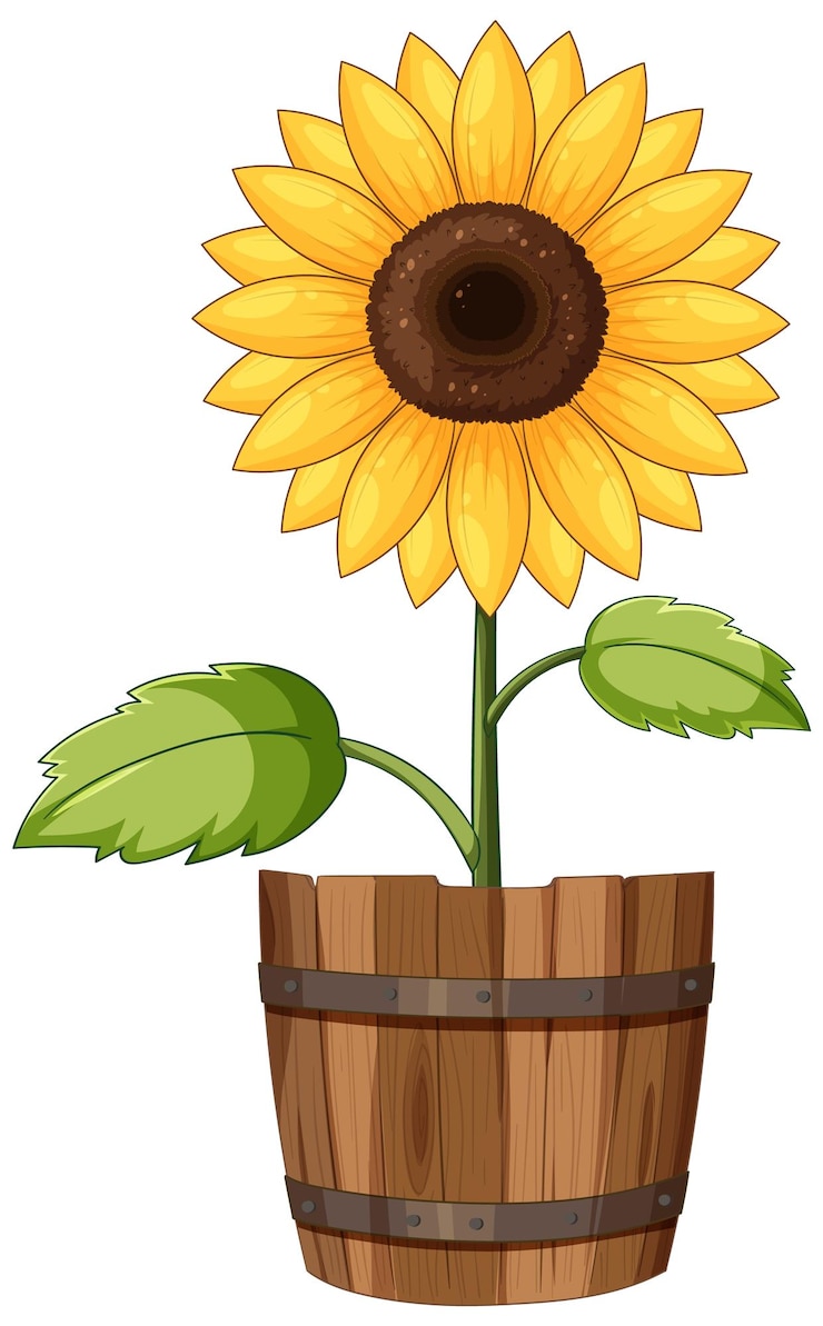 Gratis Vector zonnebloem in een houten pot