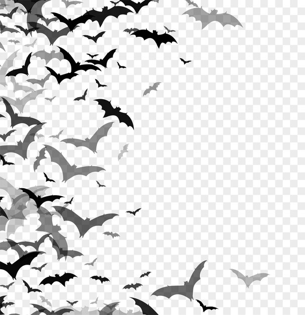 Zwart silhouet van vleermuizen geïsoleerd op transparante achtergrond. Halloween traditioneel ontwerpelement. Vector illustratie eps10