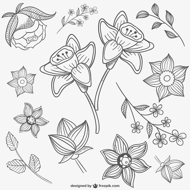 Gratis vector zwarte en witte bloemen illustraties