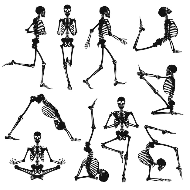 Zwarte menselijke skeletten